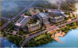 ڰ˽ͺʯƼ    ʯƼװչ