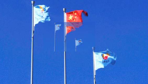 @全体员工,这一重大专项行动贯穿2020全年