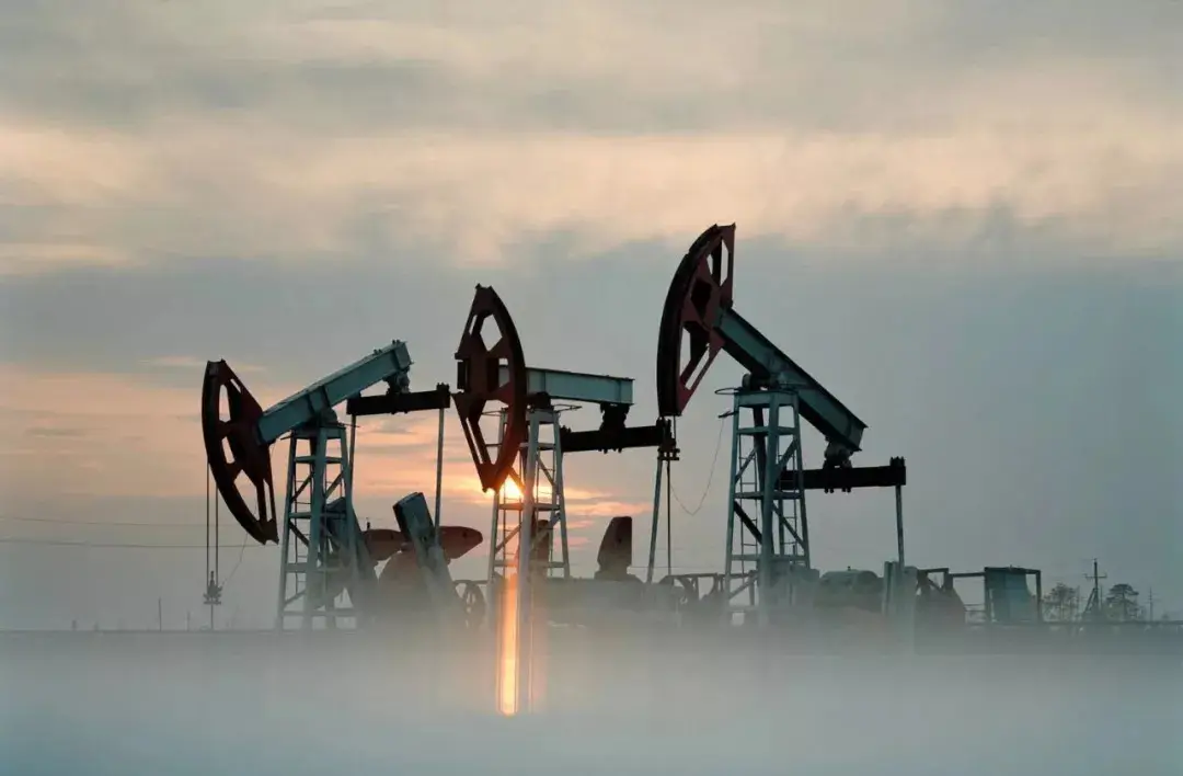 ʯɳطֹ˾б ɳذ̽Ŀ