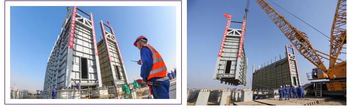 ᣡϩѽ¯ҡ Ͷ㶫ʯĿ