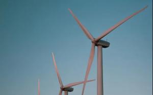 Ŀ | Wood ðϸʽĿǰƷͬ