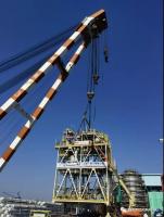 Զ | BP Tortue MEGģ˳