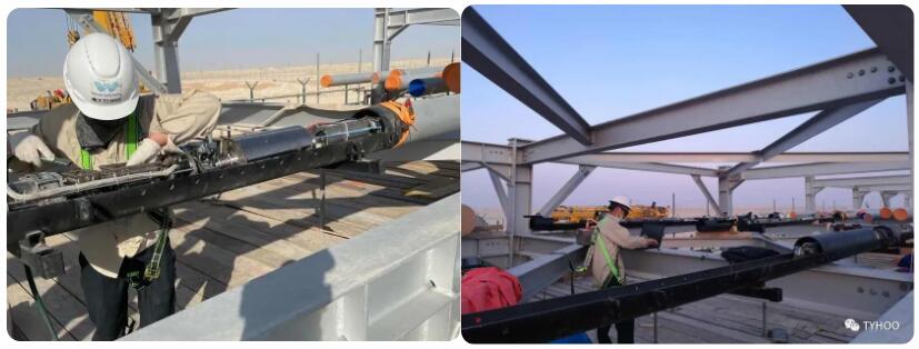 TYHOOŶӻɳذ NGCPĿ顱