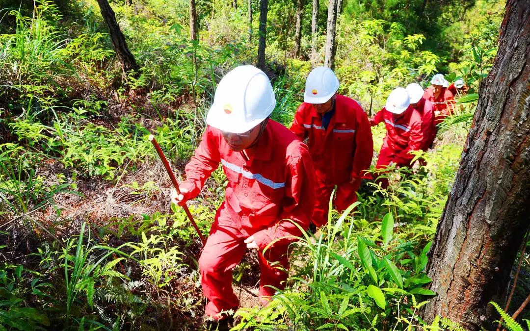 ܵۼǩͬ139000000000Ԫ