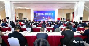 йƽشĿ裺֤³Խٶȣһΰҵ׳ͼ