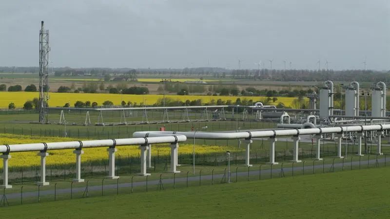 ŲԴӦGasscoЯWoodӦŷԴӦս