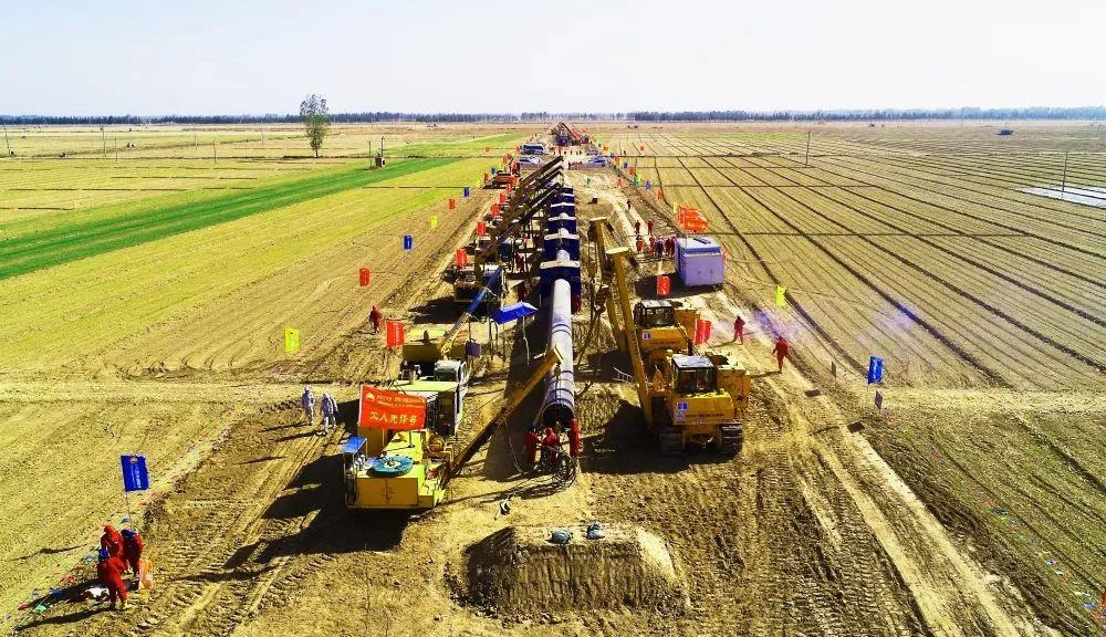 ʱ ϲӭʮ | £͹̽蹫˾ڽĿݡٶ뼤顱