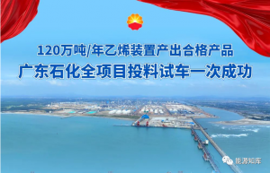 ذǧּһ廯ĿͶԳһγɹ!