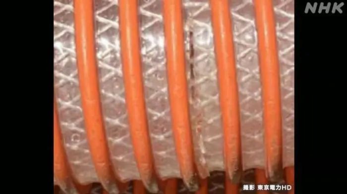 东电证实:软管破裂致福岛核污染水泄漏 东电证实:软管破裂致福岛核污染水泄漏